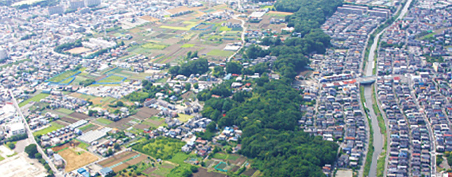 久田緑地 久田緑地