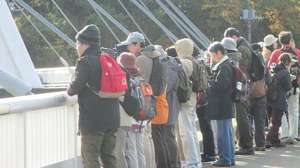 相模三川公園で河川環境に生息する野鳥の観察