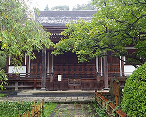 日本最古の甘柿・禅寺丸柿の原木を訪ねて