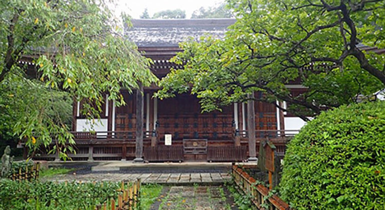 日本最古の甘柿・禅寺丸柿の原木を訪ねて 日本最古の甘柿・禅寺丸柿の原木を訪ねて