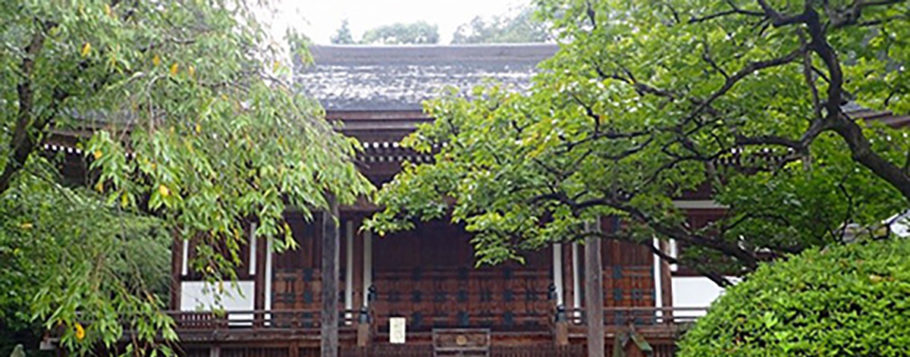日本最古の甘柿・禅寺丸柿の原木を訪ねて