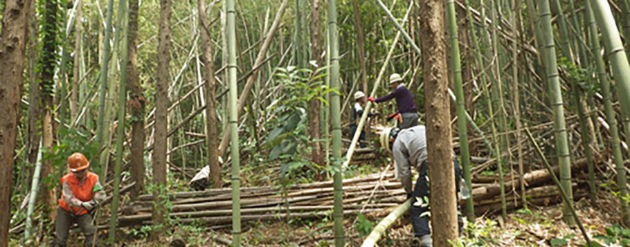 県民参加の森林づくり