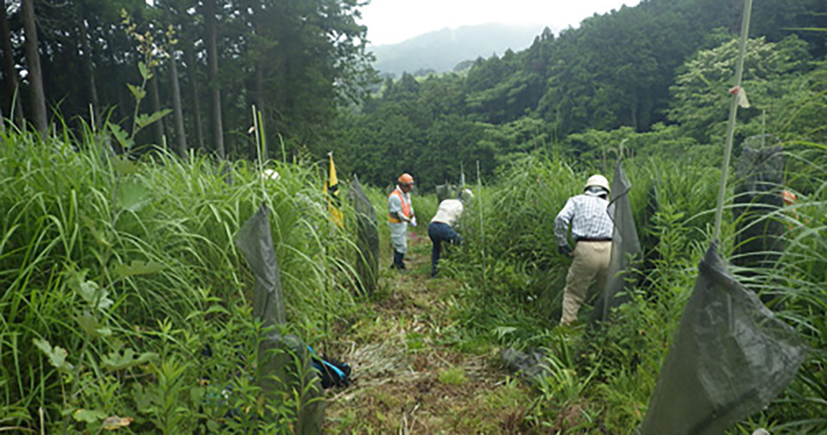 県民参加の森林づくり