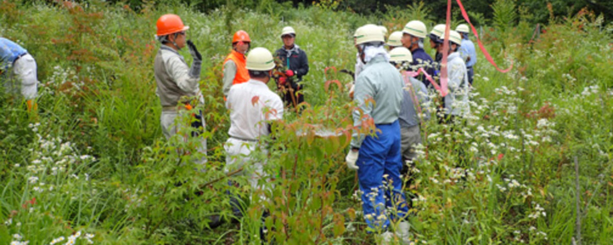 県民参加の森林づくり