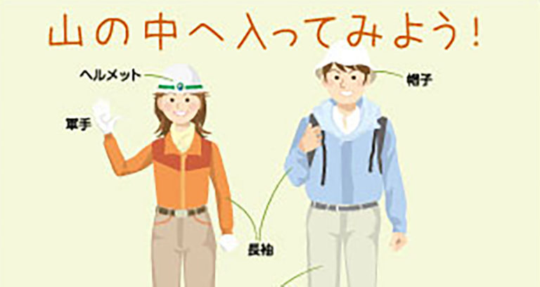 森の中へ入ってみよう