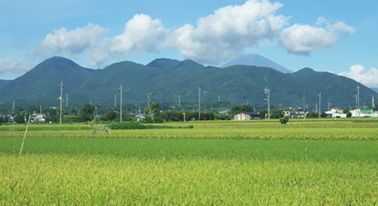県民参加の森林づくり 県民参加の森林づくり