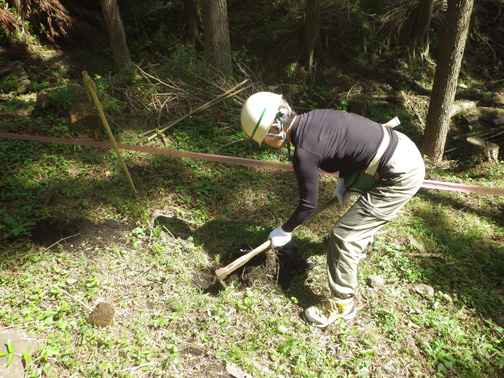 竹の目印のそばを唐鍬で掘ります