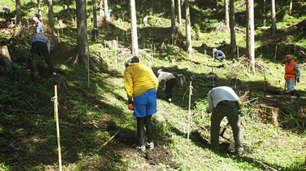 県民参加の森林づくり