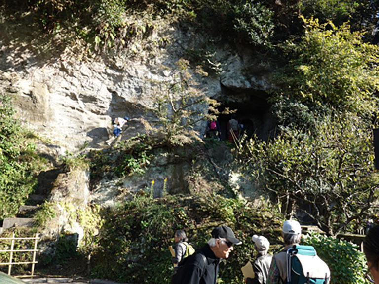古都鎌倉 秋の緑と歴史の自然探訪