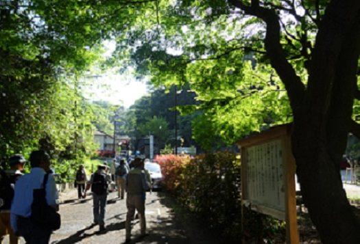7鎌倉春