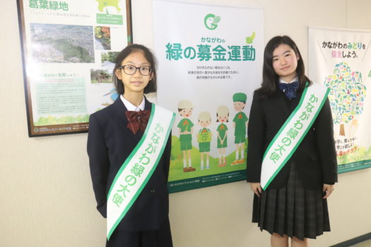 greenambasssador2 greenambasssador2
