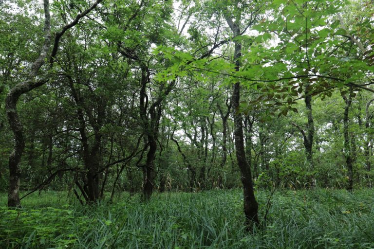 10 箱根