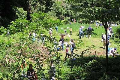 小さい緑地ながら多くの参加者が集う森