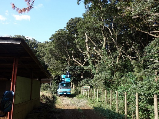 久田緑地の樹木の管理作業。伸びすぎた枝木を剪定する作業車両