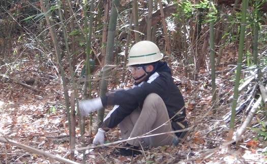 除伐作業を行う吉村大使