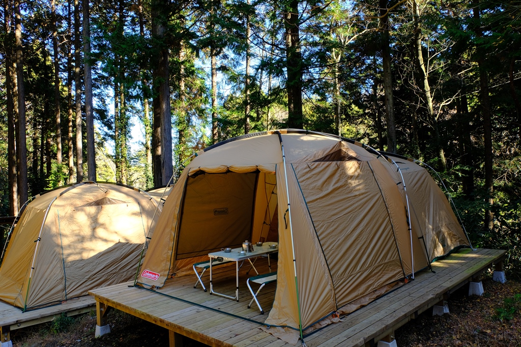 丸太の森キャンプサイト