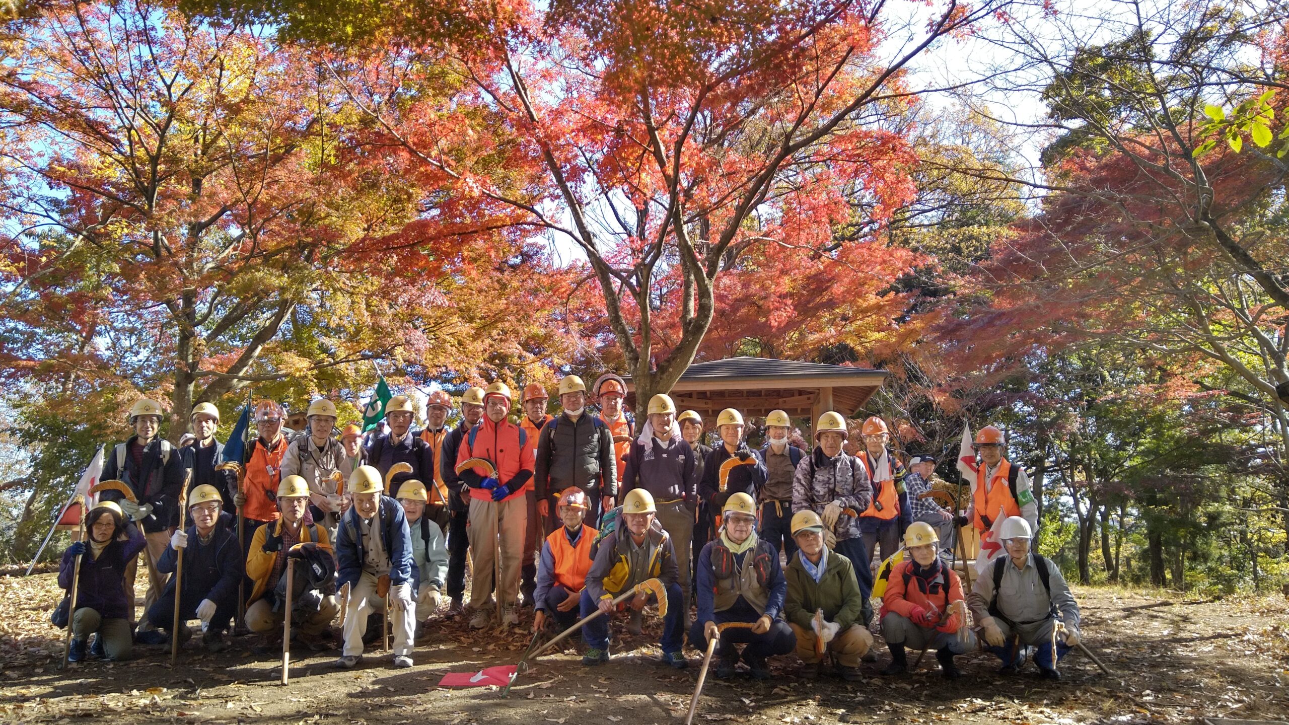 20241201紅葉集合写真