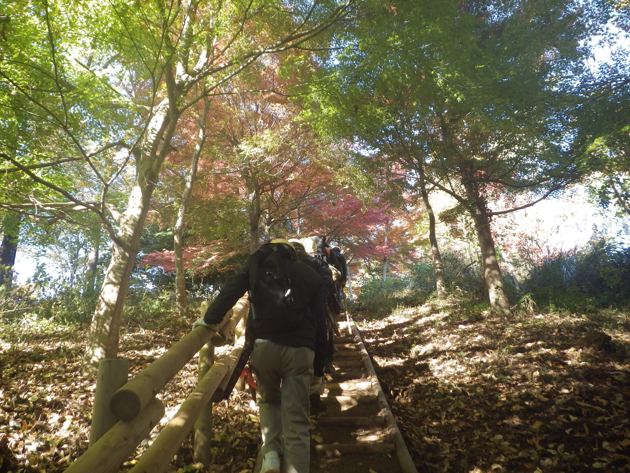 紅葉の中、現場へ移動