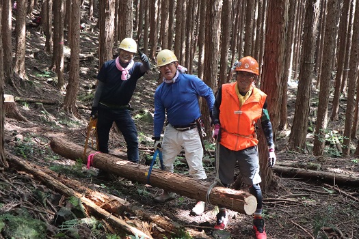 参加者10,529人／9月24日（日）間伐作業