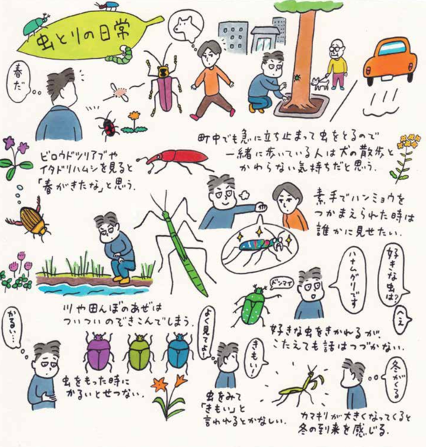 虫とりの日常