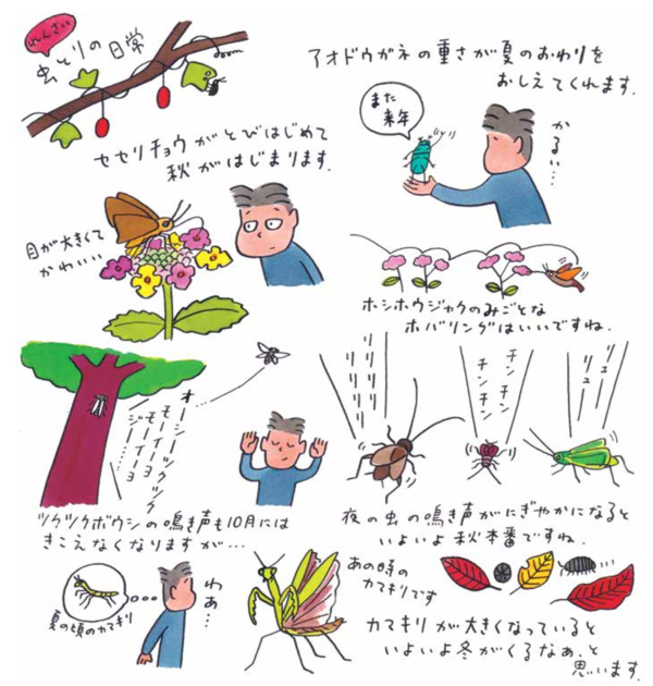 連載　虫とりの日常④「セセリチョウがとびはじめて秋がはじまります」