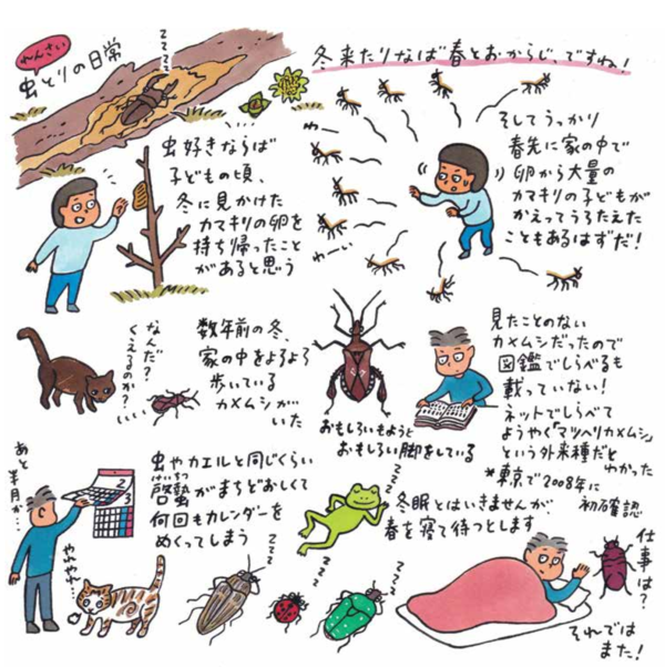 連載　虫とりの日常⑤ ( 完) 「冬来たりなば春とおからじ、ですね！」