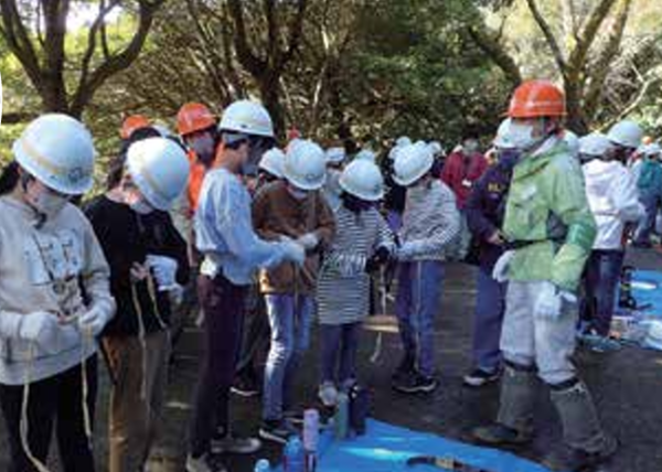 小学校の枝打ち体験活動