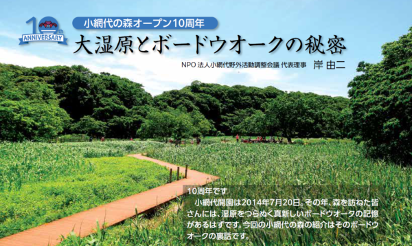 大湿原とボードウオークの秘密