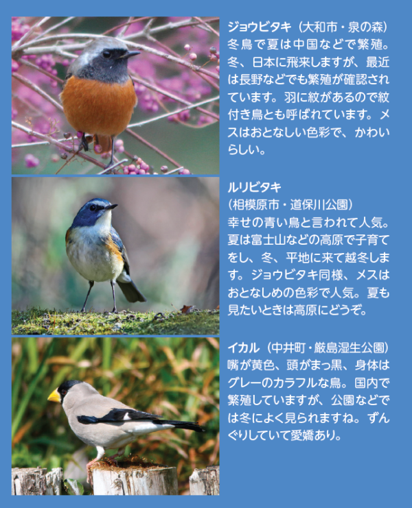 １の写真１