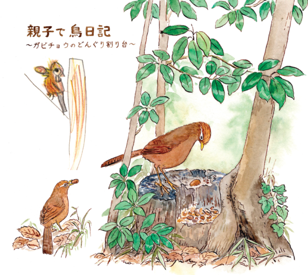 「ガビチョウのどんぐり割り台」