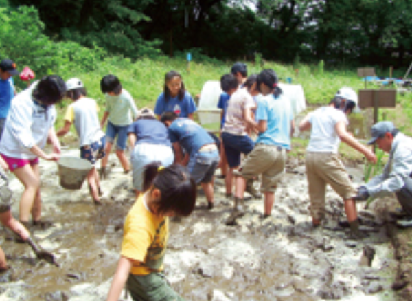 子供たちの田植え