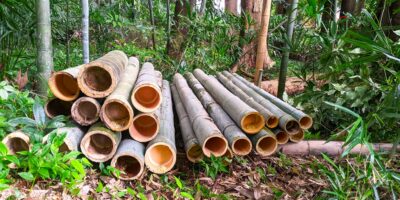 活用される竹材(モウソウダケ)