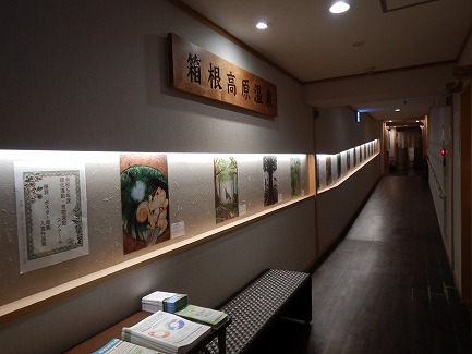 hakonekougenn