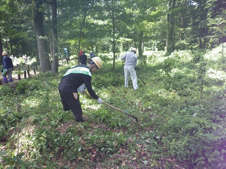 木漏れ日の中、作業に集中する細川大使