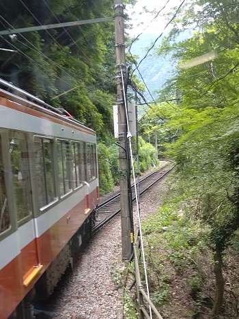 箱根登山電車の車窓から