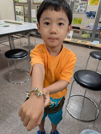 作品(男の子) 貝殻をあしらったオリジナルの竹玉飾り