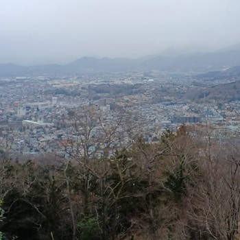 弘法山公園3月ピクセル加工 真冬の弘法山公園での自然観察会(2025年3月)