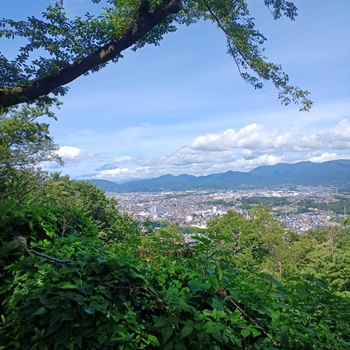 弘法山公園7月ピクセル加工 真夏の弘法山公園で森林ボランティア(2025年7月)