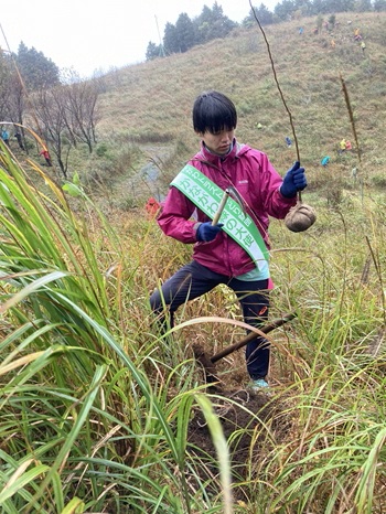 苗木の根を包む紐の結び目をほどく細川大使