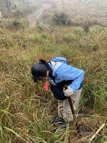 仕上げに土を踏み固めます