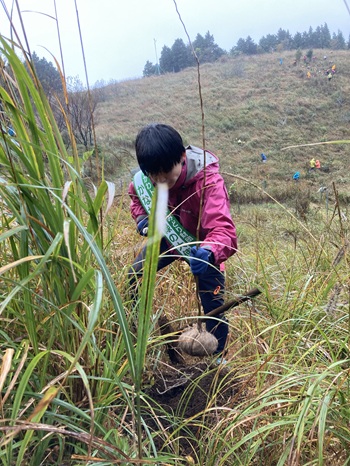 黙々と何本もの苗木を植えていただきました
