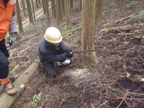 受け口を切り始めます 受け口を切りはじめます