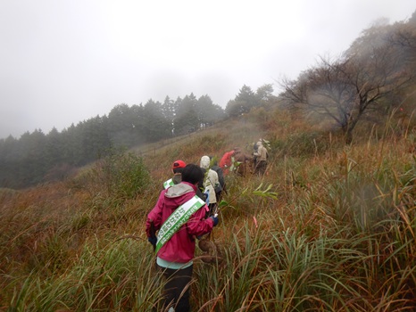 苗木などを持って山の斜面を移動