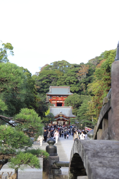 鶴岡八幡宮舞殿と本宮