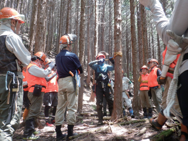 ブラッシュアップ研修(間伐)