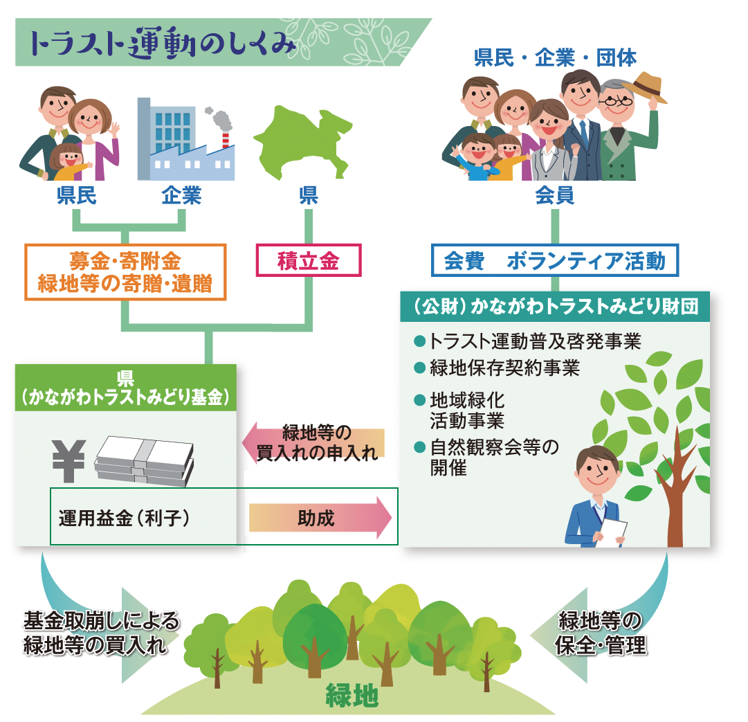 トラスト運動のしくみ