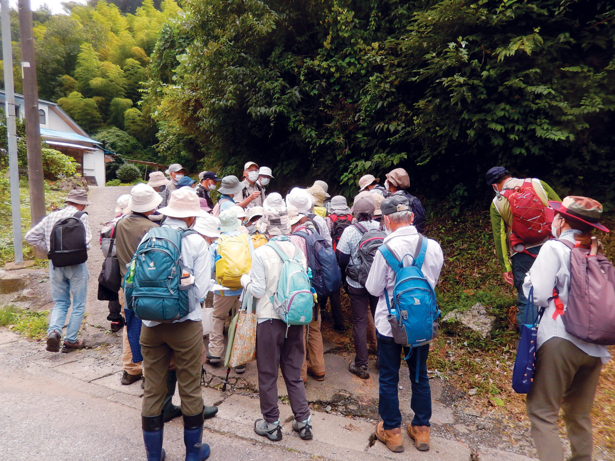 (図2)現在の横浜植物会例会(朝比奈峠 令和4年9月28日撮影:渡辺重彦)