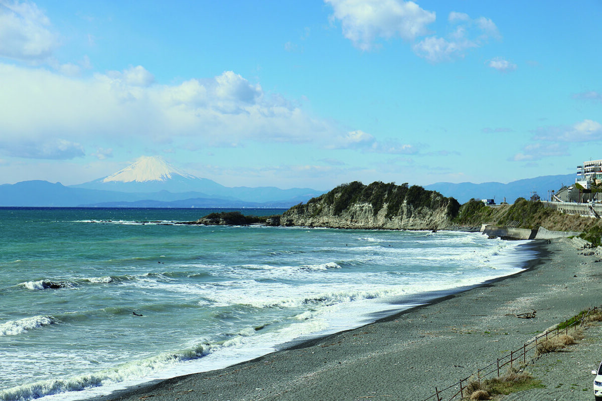 トラスト緑地・長者ヶ崎緑地