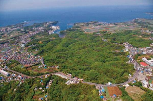 小網代の森全景(C)神奈川県青少年センター