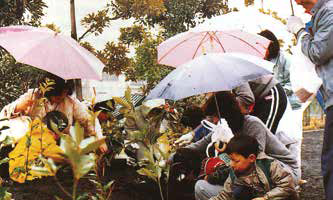 設立当初、各地域ごとに植樹会を開催